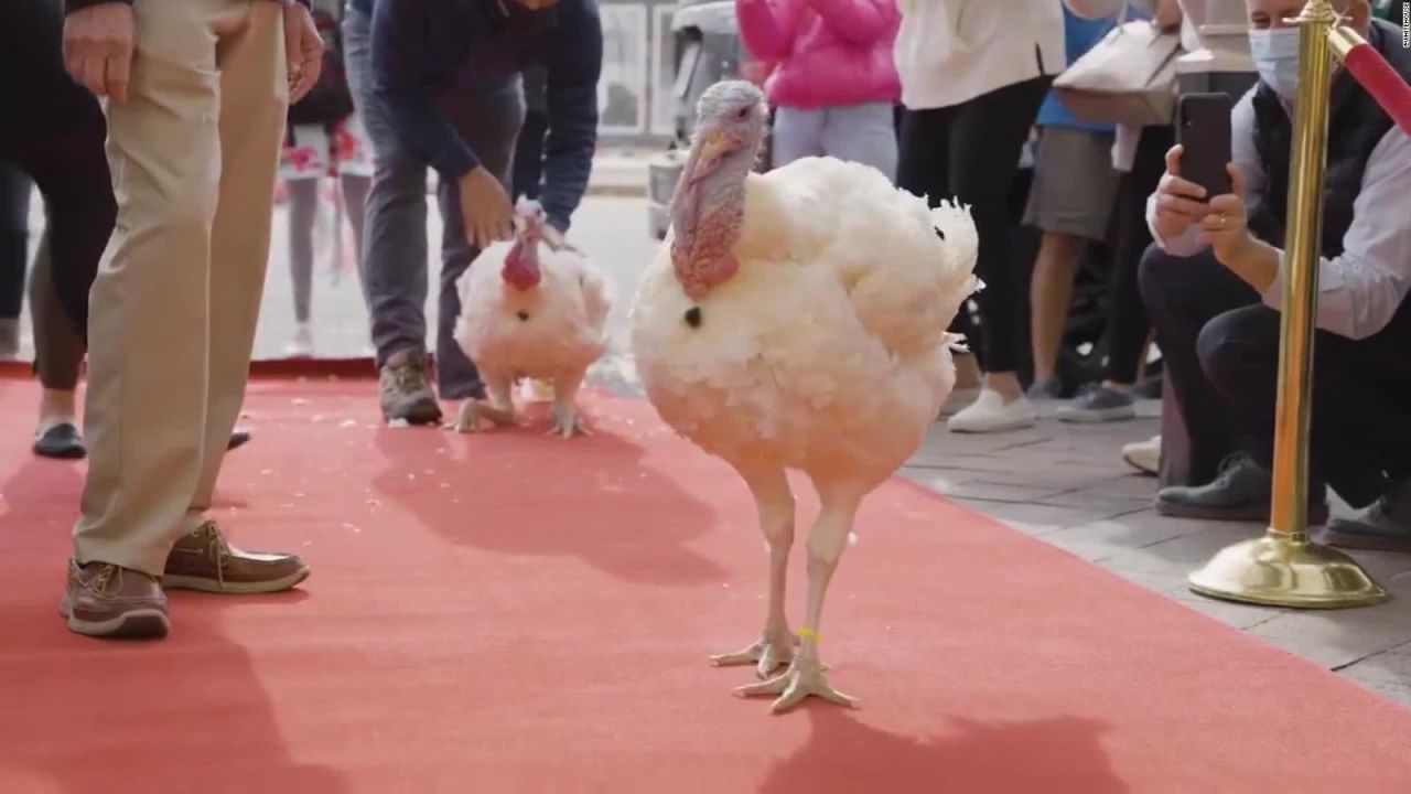 CNNE 920466 - la tradicion de perdonar a un pavo en la casa blanca