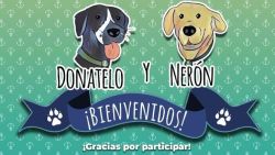 CNNE 922835 - perro rescatado por la marina de mexico ya tiene nombre