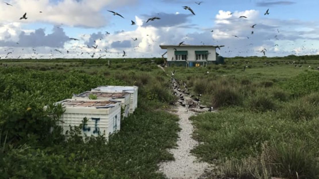 La isla está a más de 2.000 km de Honolulu.