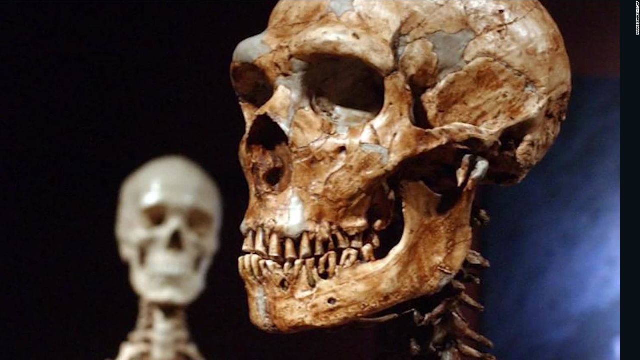 CNNE 927010 - legado de los neandertales podria impactar en nuestra salud