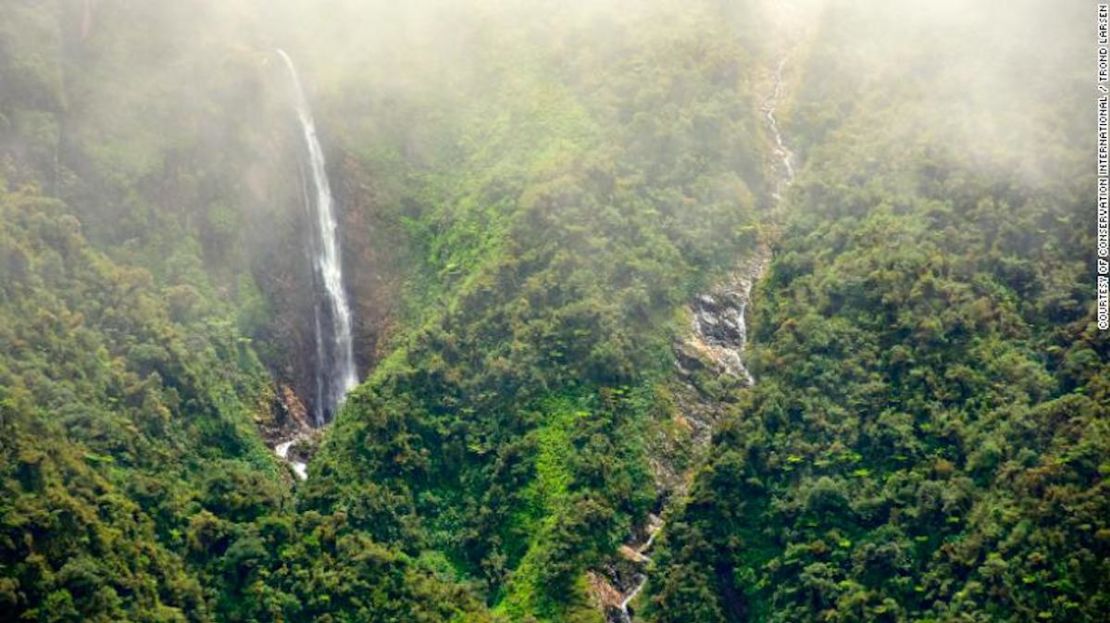 Las montañas andinas del Valle de Zongo en Bolivia donde se llevó a cabo la expedición RAP son escarpadas y escarpadas, con numerosas cascadas y cascadas.