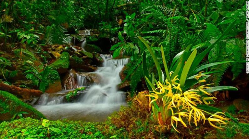 El valle de Zongo está lleno de cascadas naturales de ensueño y es conocido como el "corazón de la región". Los lugareños dependen del bosque, ya que Zongo suministra materiales de construcción, energía hidroeléctrica y agua para la capital de Bolivia, La Paz y sus alrededores.