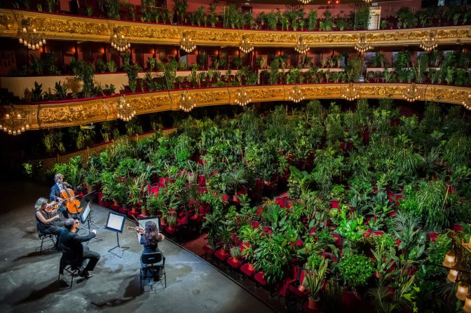 22 de junio –– El Cuarteto UceLi toca para una audiencia de plantas durante un concierto que fue transmitido en vivo desde el recientemente reabierto Gran Teatre del Liceu en Barcelona, ​​España.