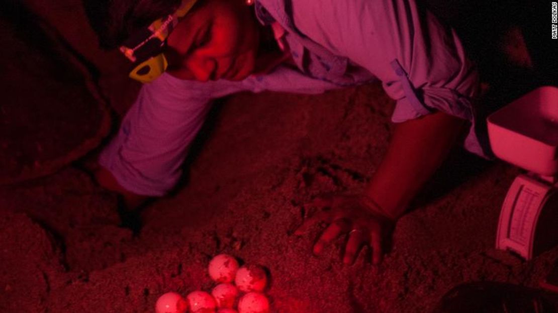 Pheasey y su equipo insertaron huevos falsos en nidos de tortugas durante la noche.