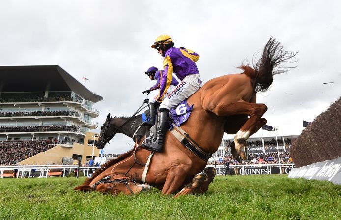 11 de marzo — El caballo Copperhead, montado por Harry Cobden, cae durante una carrera de obstáculos en Cheltenham, Inglaterra.