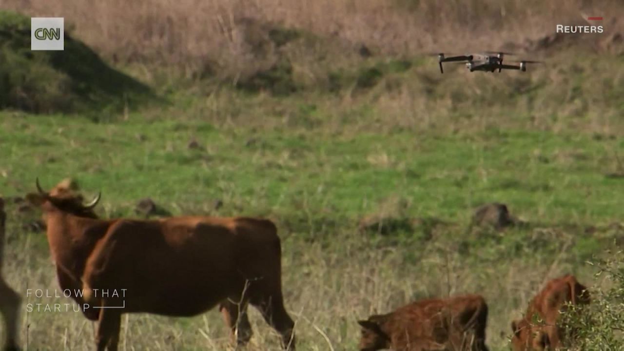 CNNE 931513 - los drones y su uso en la ganaderia