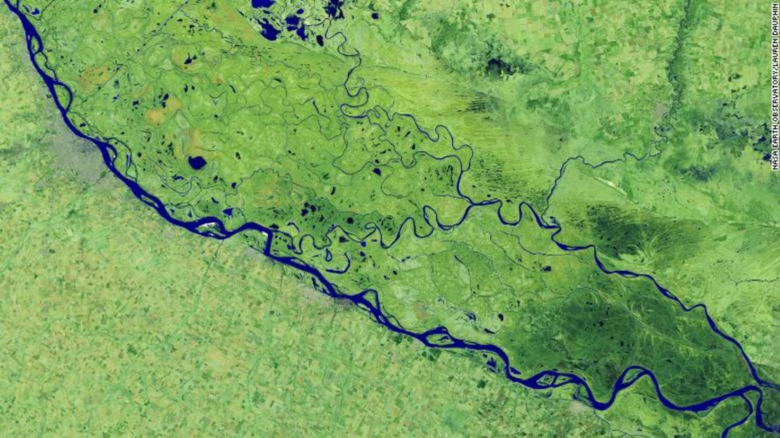 El 3 de julio de 2020, el Operational Land Imager en Landsat 8 capturó esta imagen en falso color del río cerca de Rosario, una ciudad portuaria clave en Argentina.