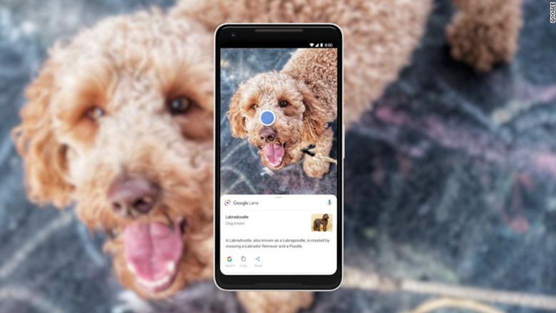 CNNE 93edfaf1 - 180508140825-google-lens-dog-780x439