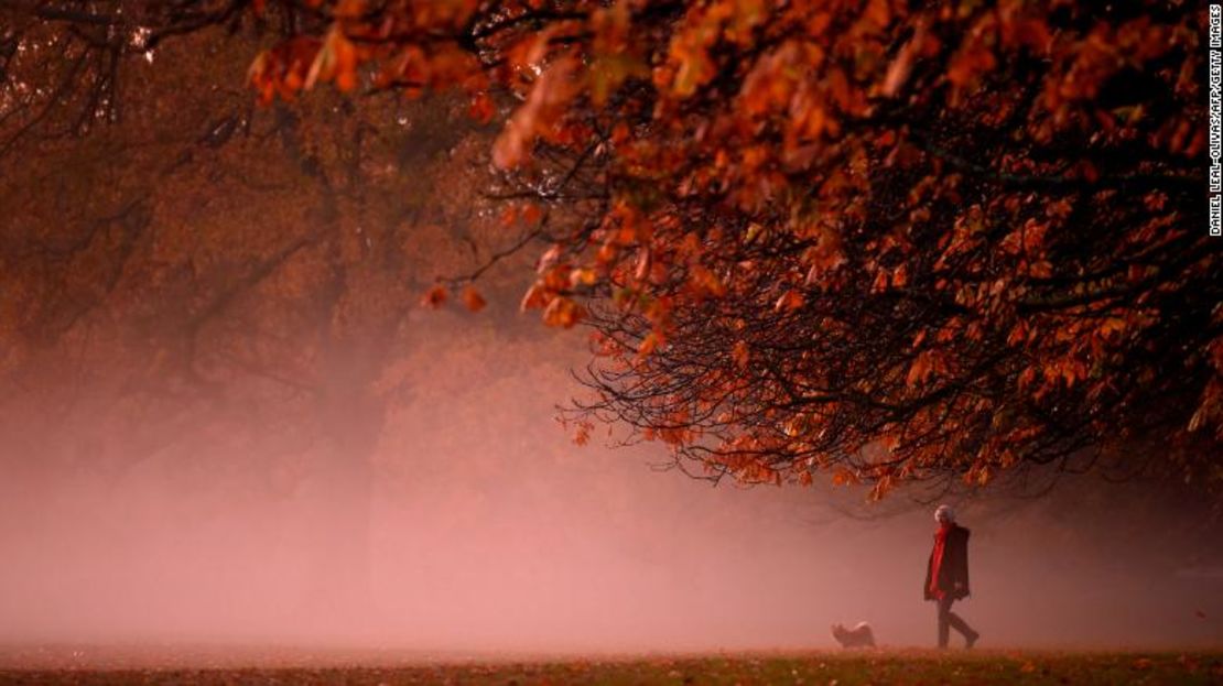 Una persona pasea a un perro en la niebla de la mañana al amanecer en Greenwich Park, en el sur de Londres, el 9 de noviembre de 2020. Algunas personas que trabajan desde casa hacen viajes falsos para equilibrar la vida laboral y personal.