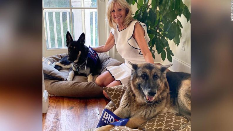 La familia de Biden tiene otros dos integrantes muy especiales: Major y Champ, dos perros pastor alemán que llegaron a la Casa Blanca.