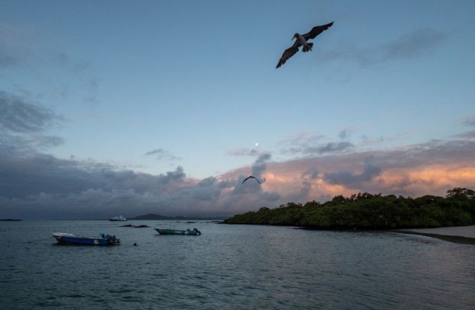 Ecuador: el país exige que los viajeros estadounidenses presenten una prueba PCR negativa de covid-19 tomada dentro de los 3 días antes a la llegada para evitar la cuarentena. La prueba está disponible para aquellos que no lleguen con un resultado negativo. Deberás permanecer en cuarentena en una instalación aprobada mientras espera los resultados. La Embajada de EE.UU. sugiere que avises a un laboratorio que necesitas los resultados de las pruebas dentro de las 72 horas previas a tu vuelo de regreso a EE.UU. Las Islas Galápagos tienen requisitos de entrada adicionales.