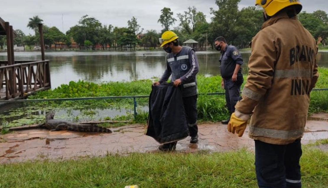 Crédito: Cuerpo De Bomberos Voluntarios de Itá