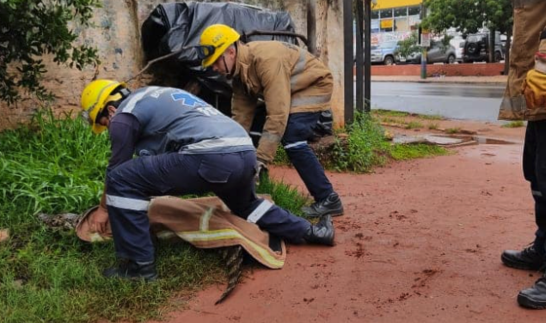 Crédito: Cuerpo De Bomberos Voluntarios de Itá