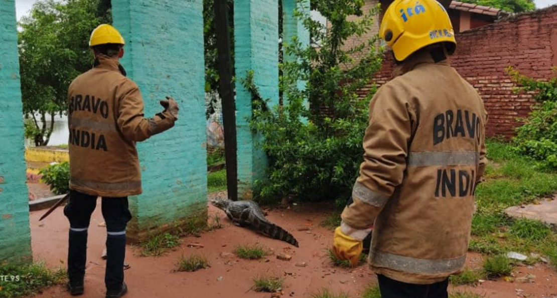 Crédito: Cuerpo De Bomberos Voluntarios de Itá