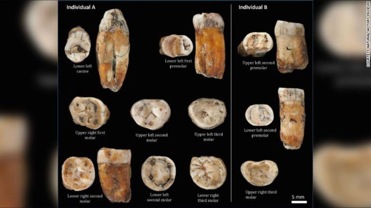 CNNE 947933 - fosiles de dientes sugieren mezcla de humanos y neandertales