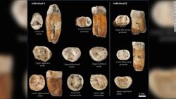 CNNE 947933 - fosiles de dientes sugieren mezcla de humanos y neandertales