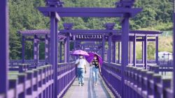 CNNE 950700 - isla purpura en corea del sur atrae turistas