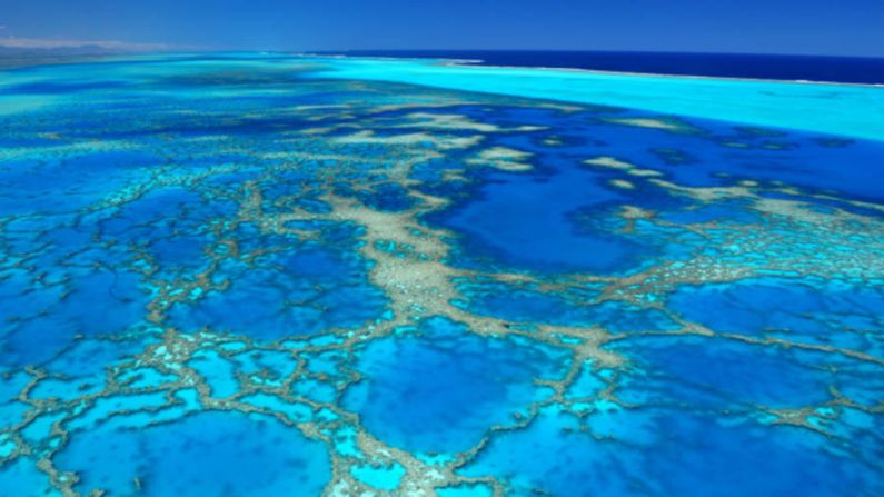 Con una superficie de 1,3 millones de kilómetros cuadrados, el Parque Natural del Coral de Nueva Caledonia protege el segundo arrecife barrera más largo del mundo y la laguna marina más grande del mundo.