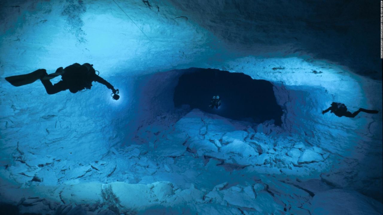 CNNE 952833 - increibles fotos muestran la vida bajo el agua