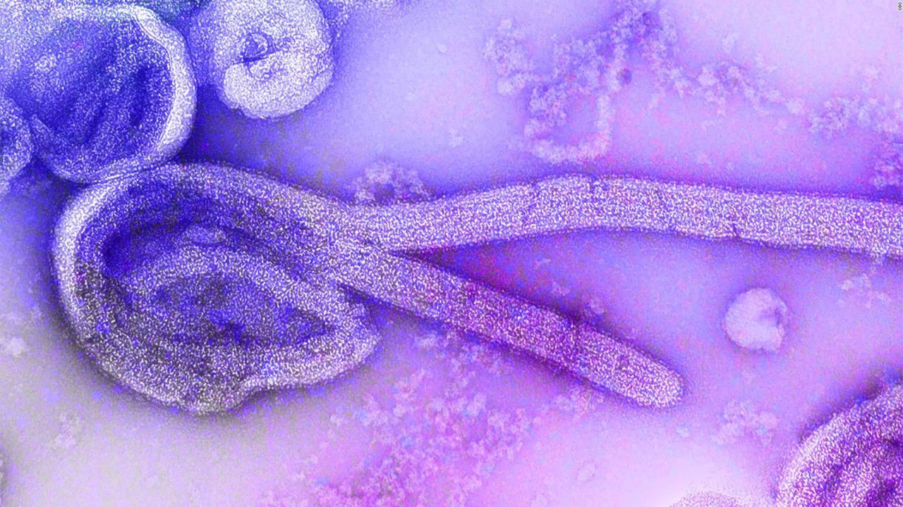 CNNE 953706 - alerta por brote de ebola en guinea