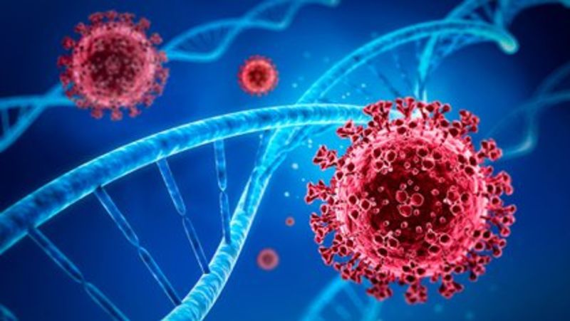 Encuentran en nueva york una nueva variante del coronavirus que preocupa a científicos | cnn