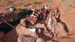 CNNE 961361 - conoce detalles sobre el fosil de dinosaurio en argentina