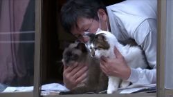 CNNE 963269 - el hombre que cuida a los gatos de fukushima