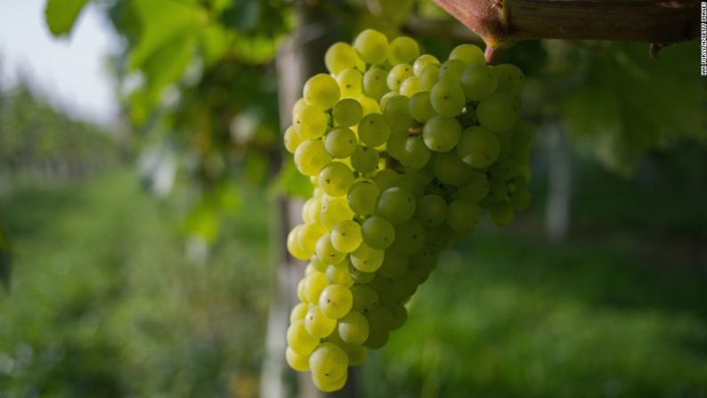 Las uvas ocuparon el sexto lugar en la lista. Desde 2004, el EWG ha utilizado datos de pruebas gubernamentales para reportar sobre los niveles de pesticidas.