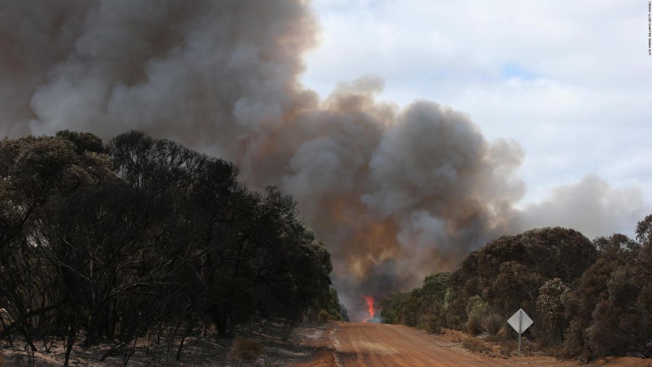 CNNE 968137 - el humo de los incendios en australia enfrio los oceanos