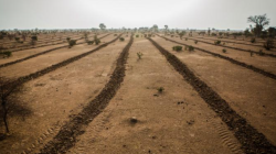 CNNE 968439 - el desierto de sahara no para de crecer