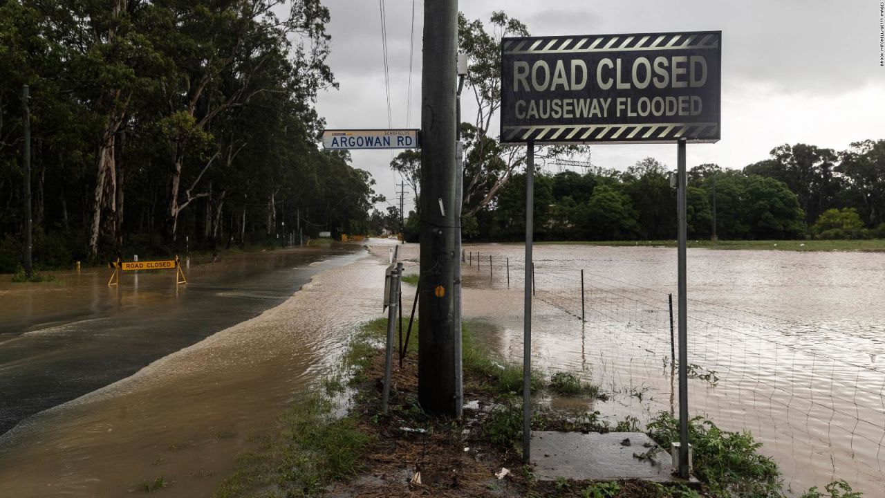 CNNE 969195 - aranas y serpientes buscan refugio por inundaciones