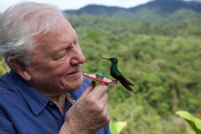 "La vida en color con David Attenborough": en una nueva serie de tres partes, el legendario David Attenborough viaja por el mundo desde las selvas tropicales de Costa Rica hasta las nevadas Tierras Altas de Escocia para revele las formas extraordinarias y nunca antes vistas en que los animales usan el color. (Netflix) Netflix