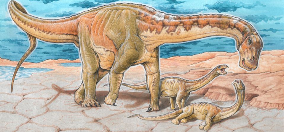 Otro dinosaurio, el Lavocatisaurus agrioensis, fue encontrado en la provincia de Neuquén y se cree que habitó la región hace 110 millones de años. Era un cuadrúpedo herbívoro de cuello largo y cola larga.