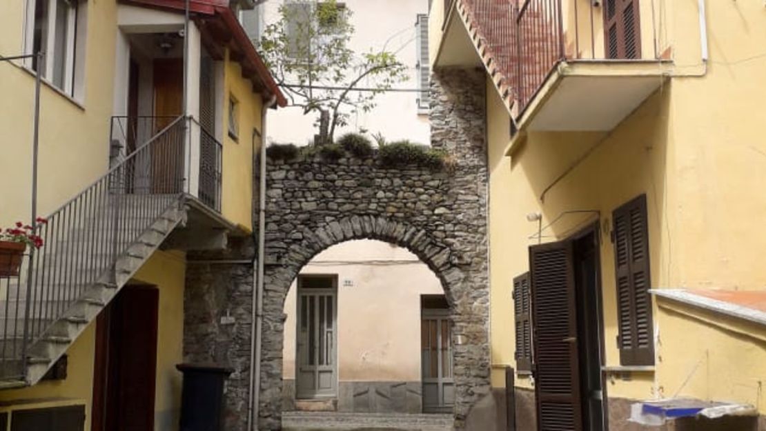 A la pareja le gustó especialmente un árbol que crece encima de un arco.