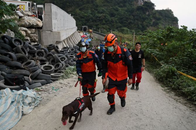 Rescatistas trabajan en el sitio del descarrilamiento del tren con perros salvavidas.