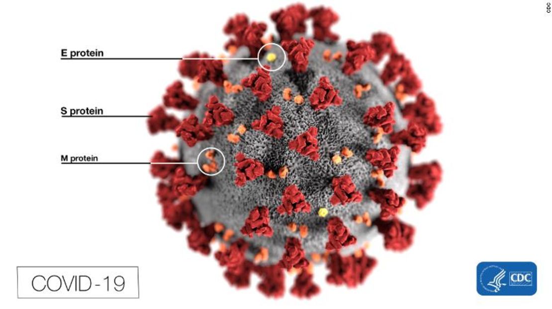 Esta ilustración, creada por los CDC, revela los picos que adornan la superficie exterior del virus.