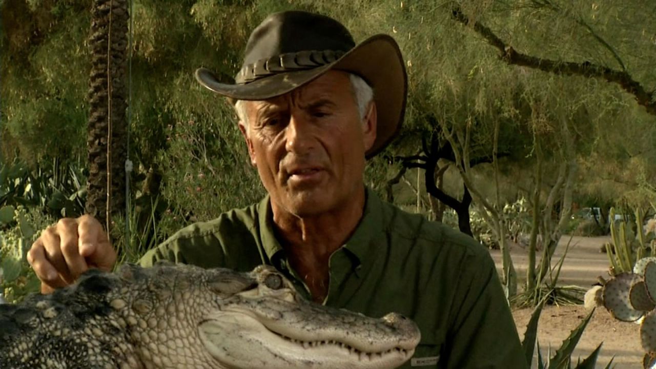 CNNE 976162 - enfermedad retira a jack hanna de la vida publica