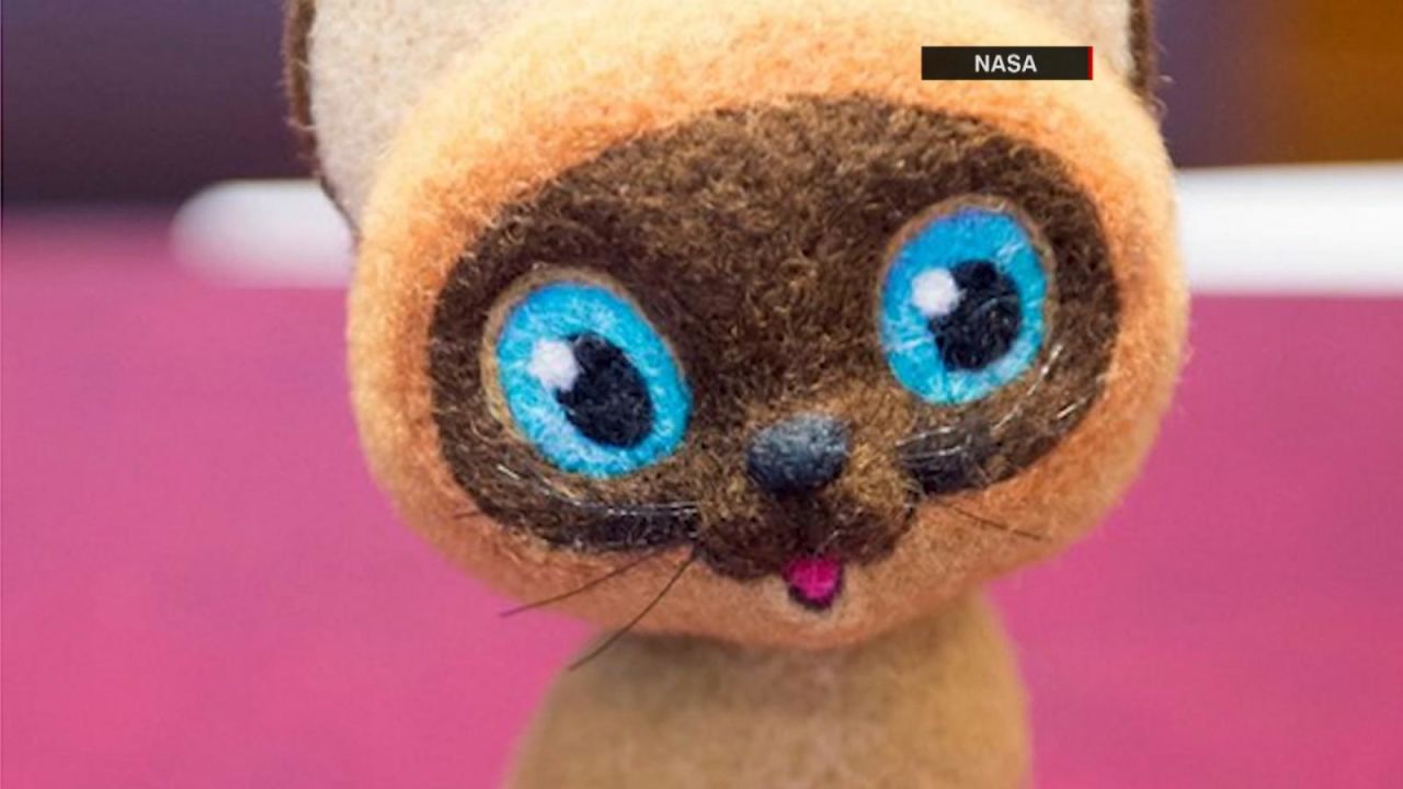 CNNE 976939 - gato de peluche, el valioso acompanante de astronautas