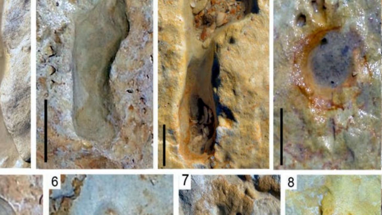 CNNE 981143 - encuentran huellas de ninos neandertales en espana