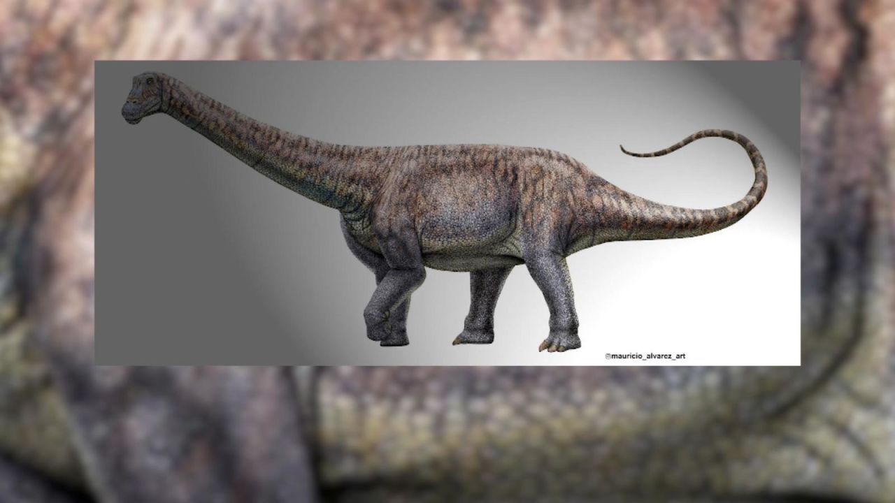 CNNE 981371 - conoce la nueva especie de dinosaurio hallado en chile