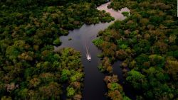 CNNE 981387 - la selva amazonica en la mira de la cumbre climatica