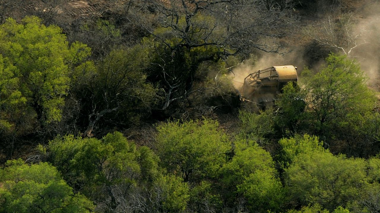 A bulldozer clears native forest preparing the fields for agriculture in Bella Vista, province of Salta, northwest Argentina, near the border with the province of Santiago del Estero, some 1300 km from Buenos Aires, on November 16, 2010.  AFP PHOTO / Juan Mabromata