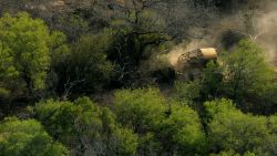 A bulldozer clears native forest preparing the fields for agriculture in Bella Vista, province of Salta, northwest Argentina, near the border with the province of Santiago del Estero, some 1300 km from Buenos Aires, on November 16, 2010.  AFP PHOTO / Juan Mabromata