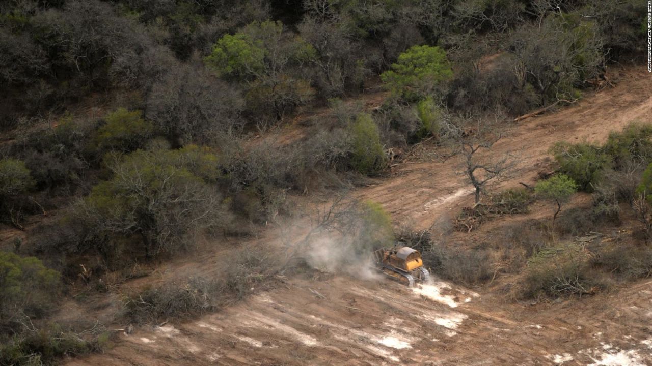 CNNE 982898 - ¿cual es la situacion del desmonte en argentina?