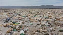 CNNE 983285 - mira la terrible contaminacion de este lago en bolivia