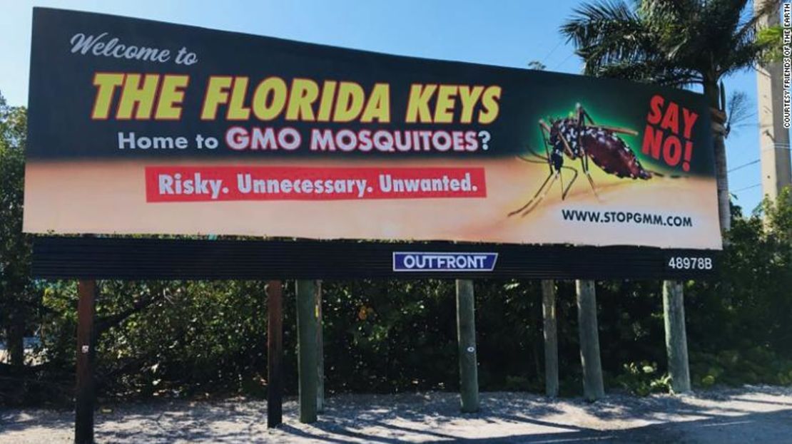 En Florida siguen protestando contra la liberación de mosquitos "mutantes"