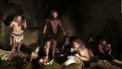 CNNE 988944 - adn neandertal revela como era la vida prehistorica