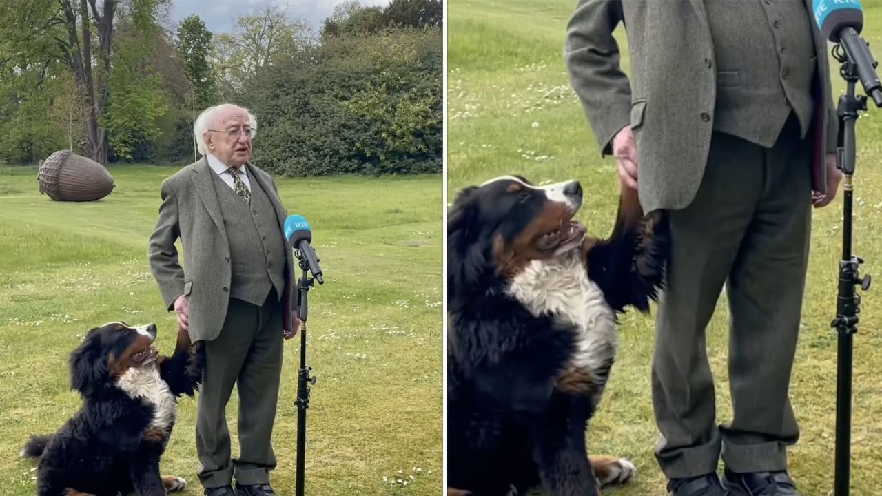 CNNE 989413 - presidente de irlanda y su perro - foto- presidencia de irlanda