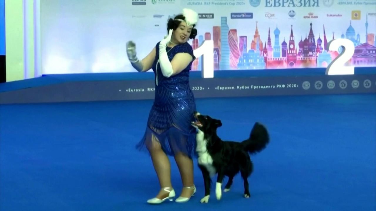 CNNE 991159 - perros brillan en competencia de baile rusa