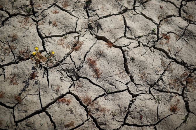 La tierra seca y agrietada en Browns Ravine Cove, en el lago Folsom, el 10 de mayo de 2021 en El Dorado Hills, California.